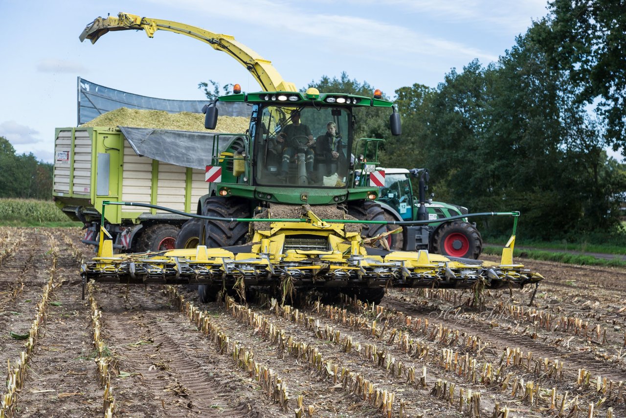 Bild 163 - Maisernte